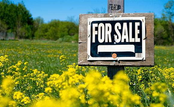 Custom Website For Sale. 7 Tips For Potential Buyers Website for sale