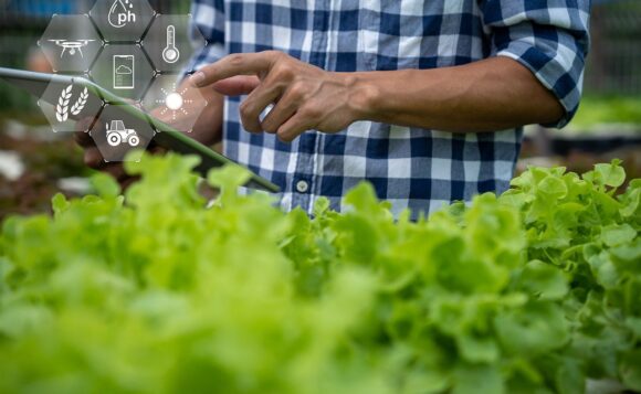 Revamping Farming Practices: Augmented Reality’s Role in Agriculture